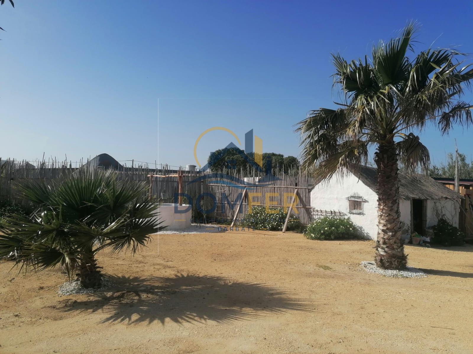 Una joya natural en la Costa de la Luz: Parcela única con vistas al mar y las marismas