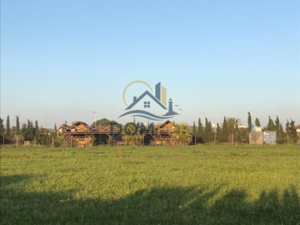Parcela virgen de 3333 metros en venta en El Palmar Vejer